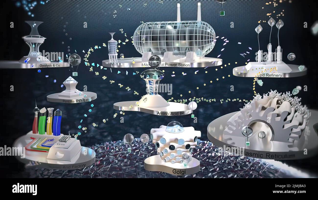 Nucleus cell interphase hi-res stock photography and images - Alamy