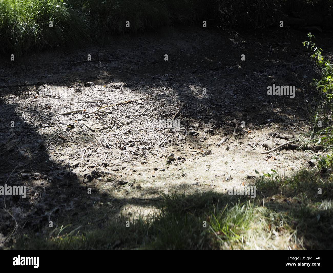Spring Running Dry dry spring in the mountains due to climate change. Drought concept ...