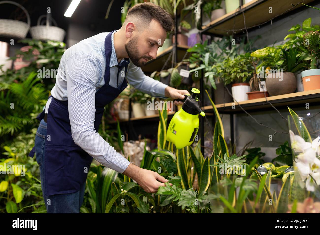 A man in a flower warehouse caring for potted plants Stock Photo Alamy