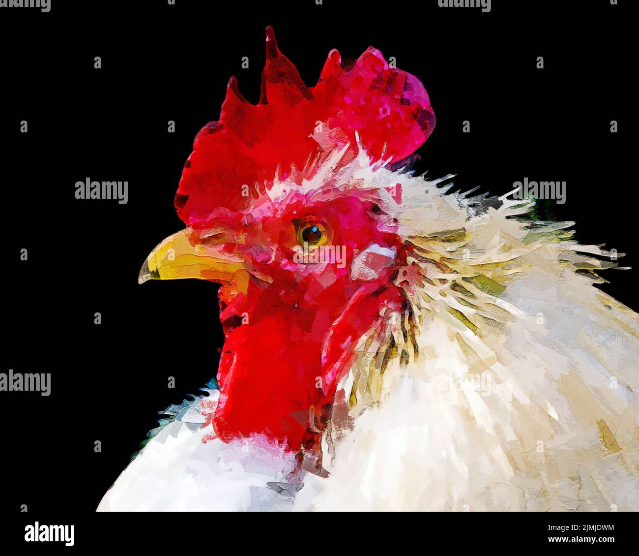Digital painted illustration portrait of a chicken isolated on a black background Stock Photo