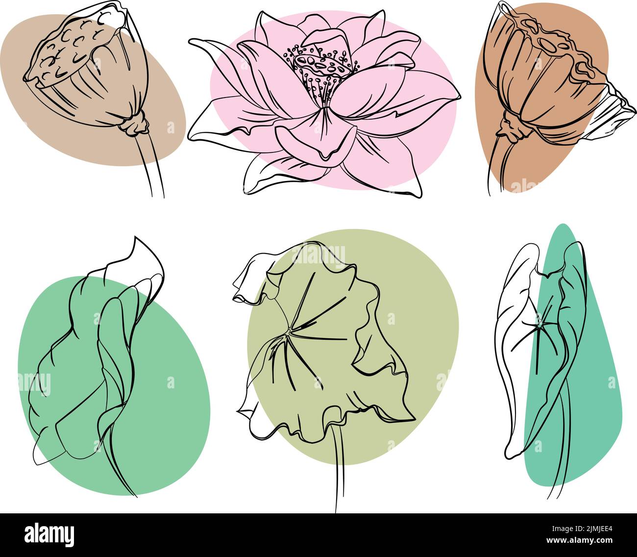 Set of hand drawn ink lotus flowers, seedpod and leaves. Vector ...
