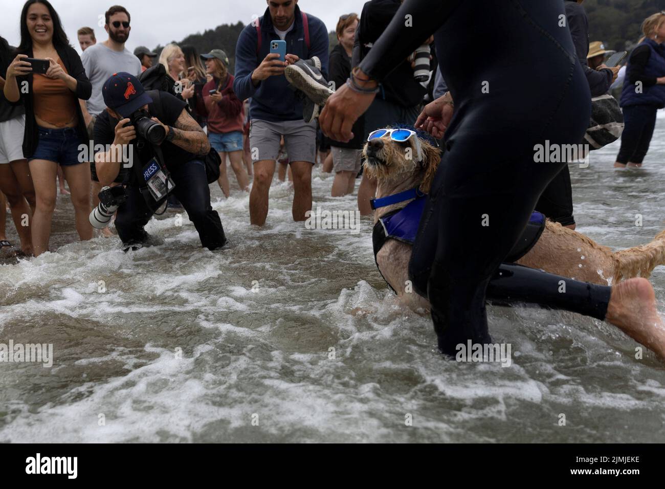 Derby competes at the World Dog Surfing Championships in Pacifica, California, U.S., August 6, 2022. REUTERS/Carlos Barria Stock Photo
