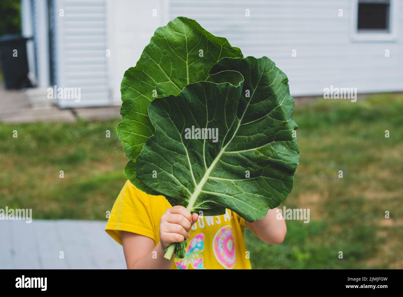A young girl holds two collared green leaves. - Stock Image