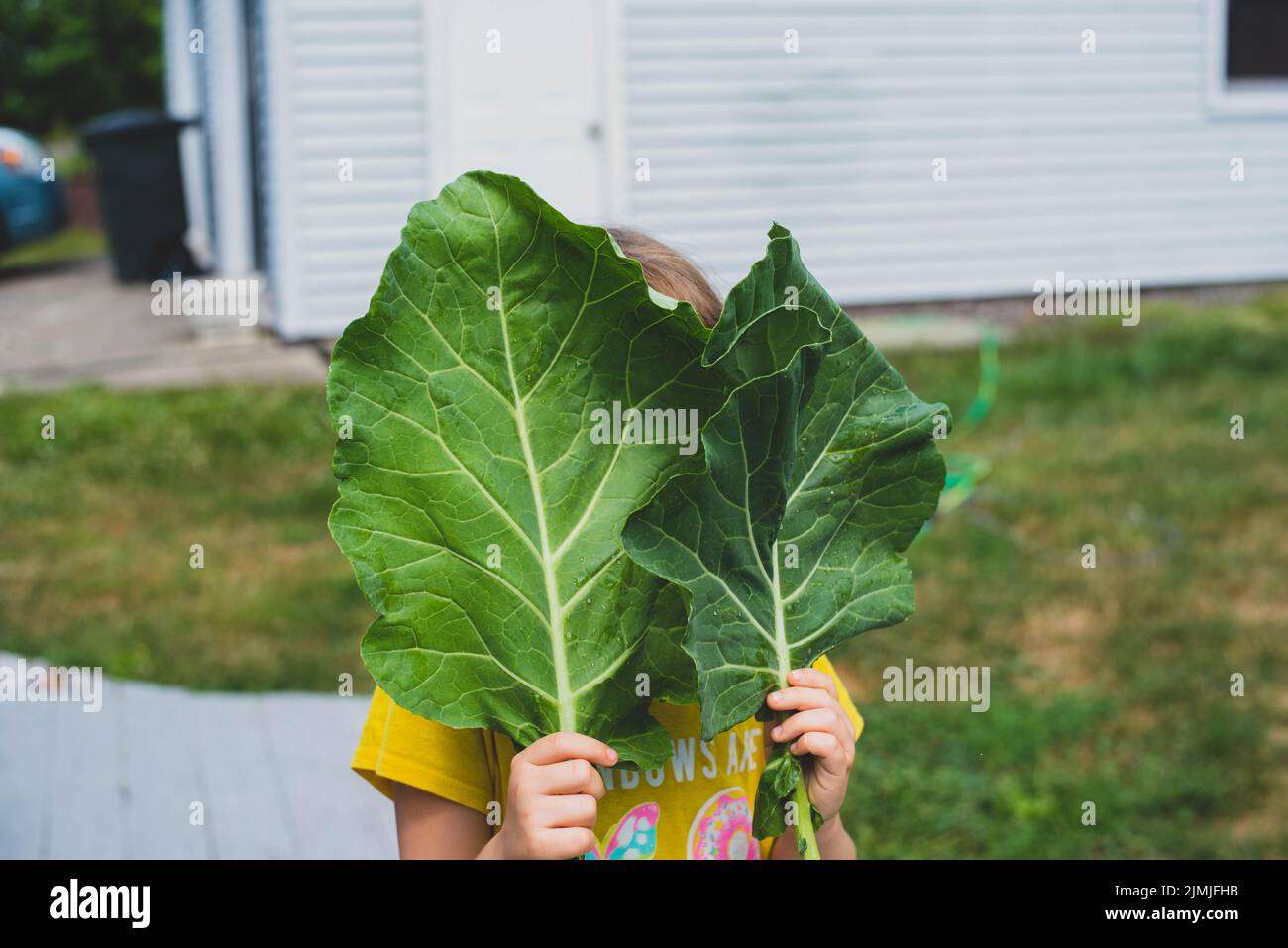 A young girl holds two collared green leaves. - Stock Image