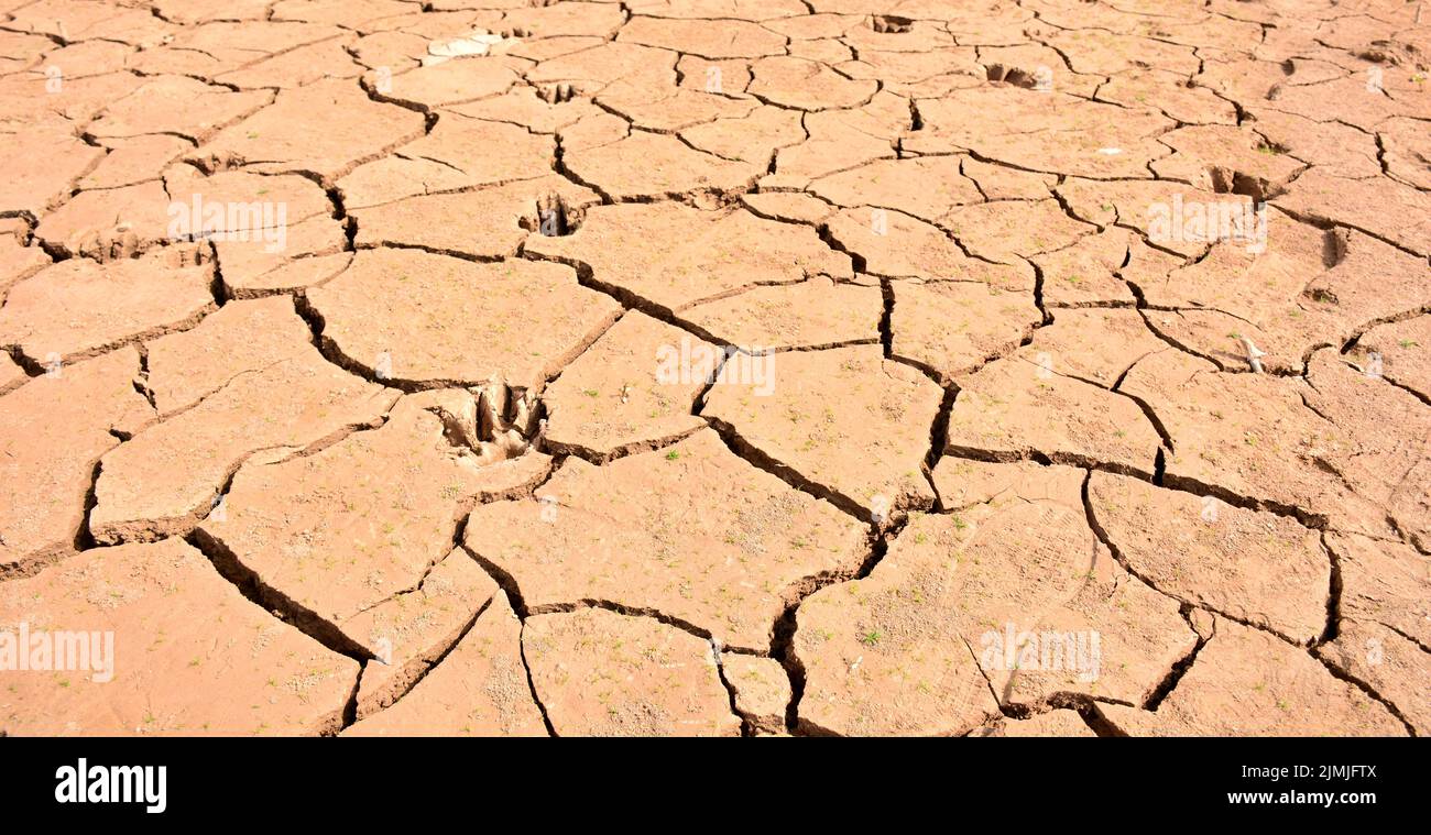 Terreno agrietado por la falta de agua, sequía Stock Photo