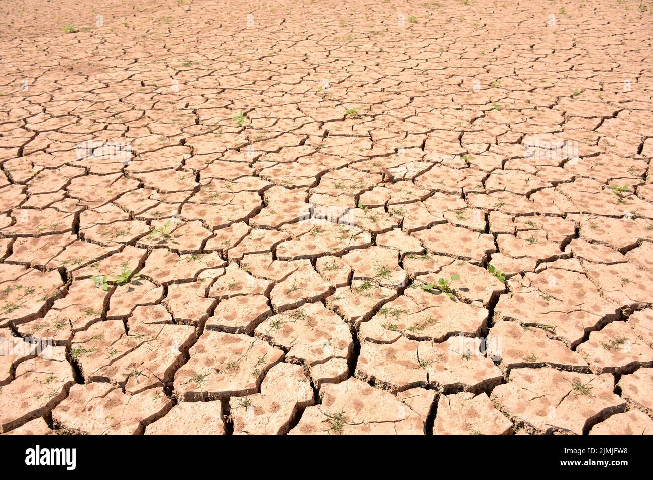 Terreno agrietado por la falta de agua, sequía Stock Photo