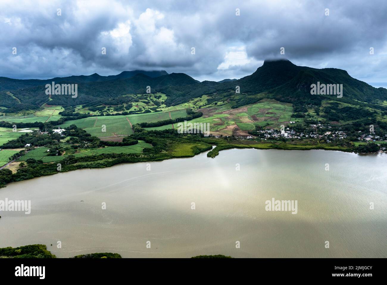 Aerial view, Sugar cane fields at Grand Port, ile Chat, Mauritius, Africa Stock Photo