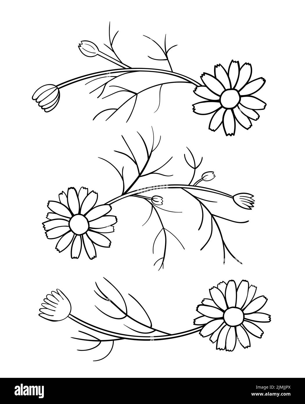 Daisy elements for pattern. Black contour on white background. Simple ...