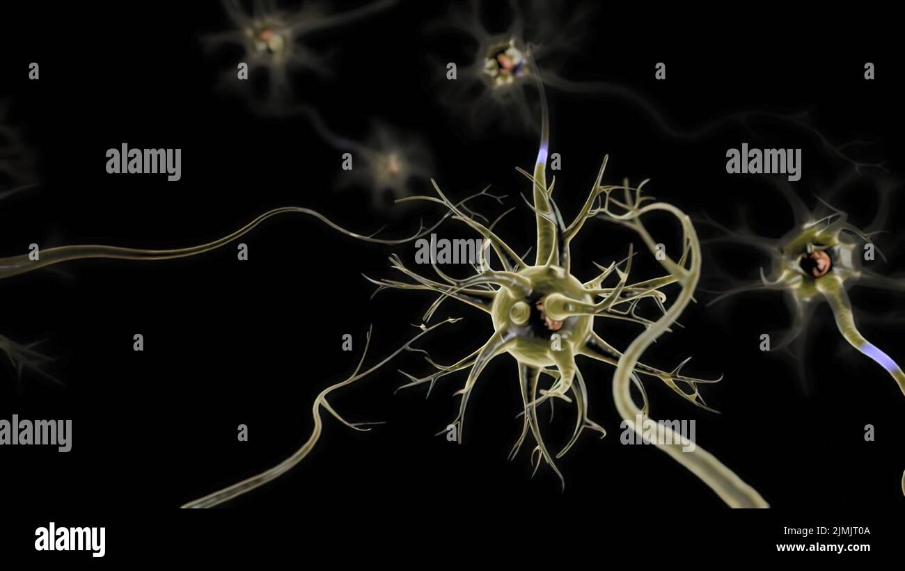 Neuro connections hi-res stock photography and images - Alamy