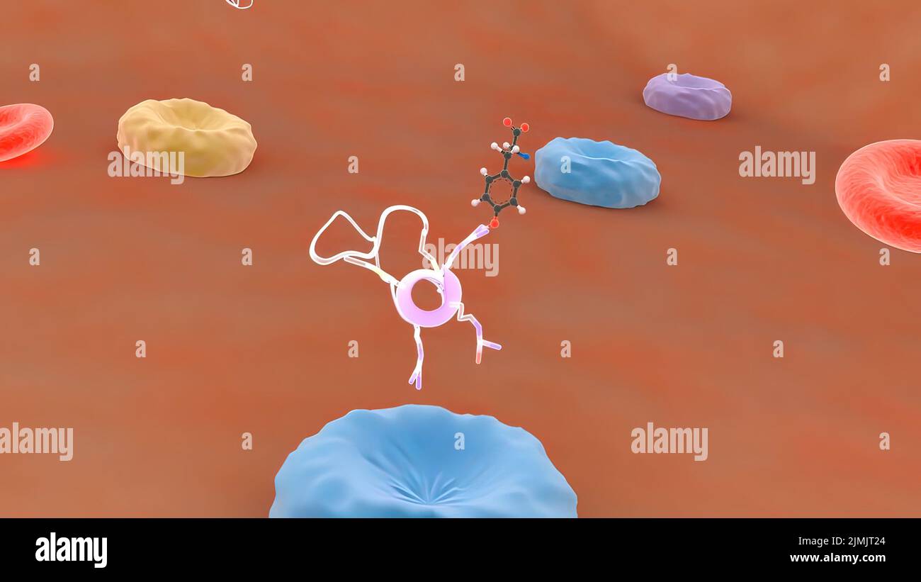 The blood brain barrier hires stock photography and images Alamy