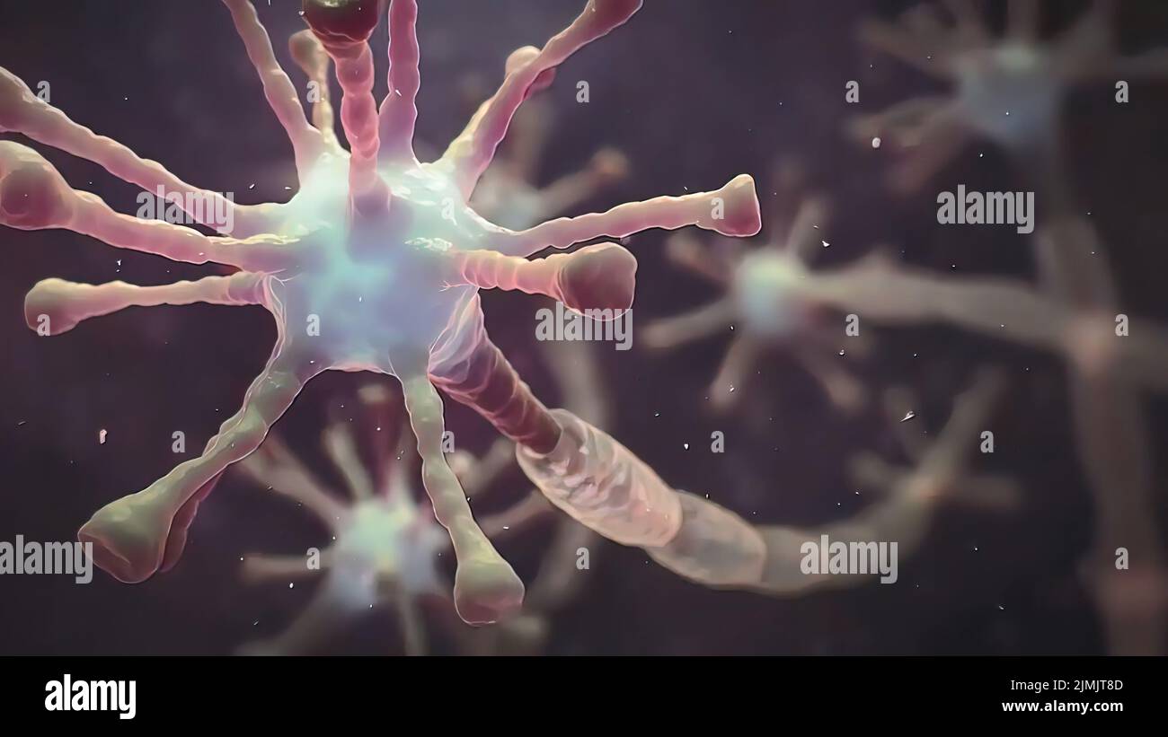 Motor neurons micrograph hi-res stock photography and images - Alamy