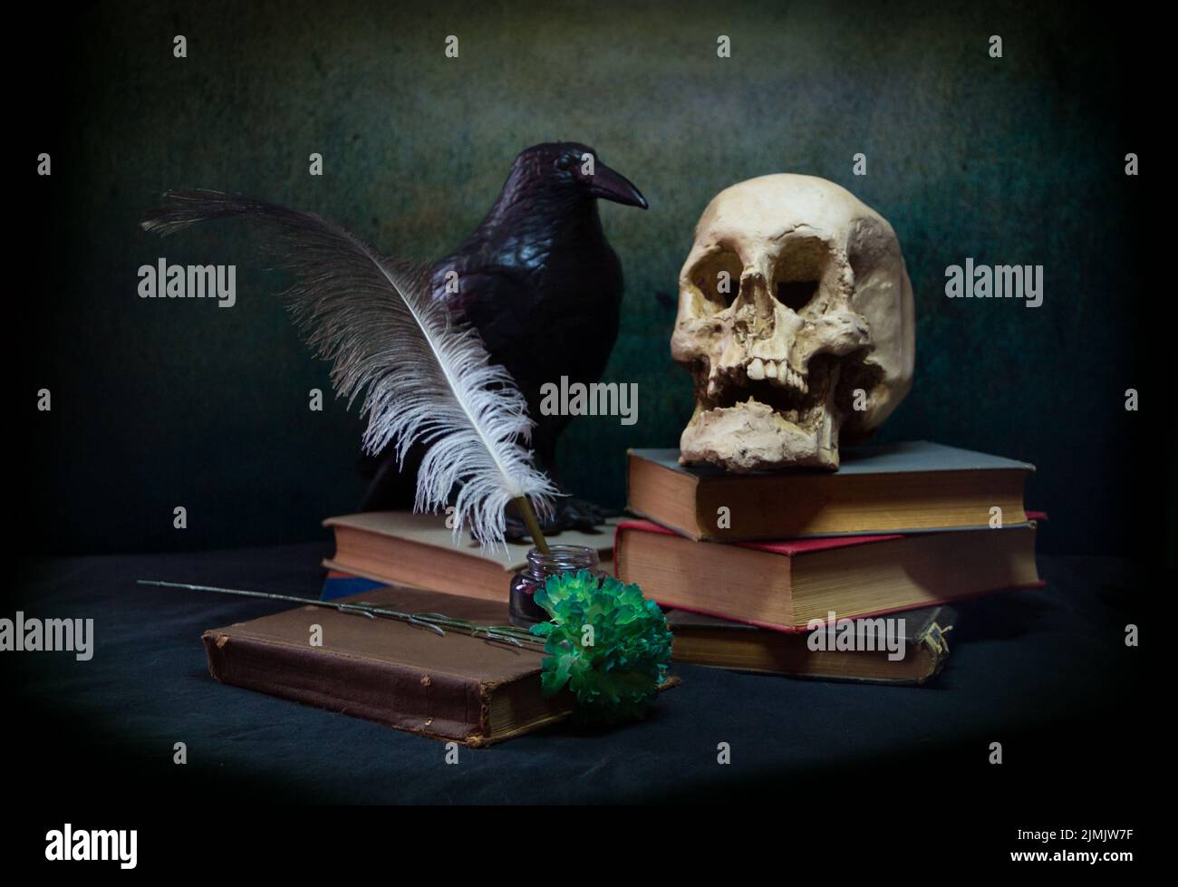 Books a human skull, a raven and a green carnation. Stock Photo