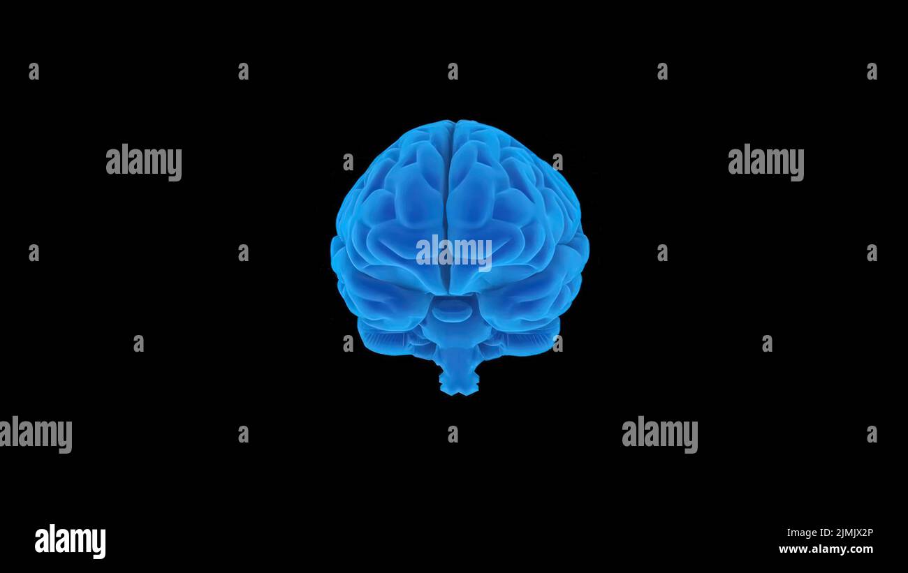 Receptors brain hires stock photography and images Alamy