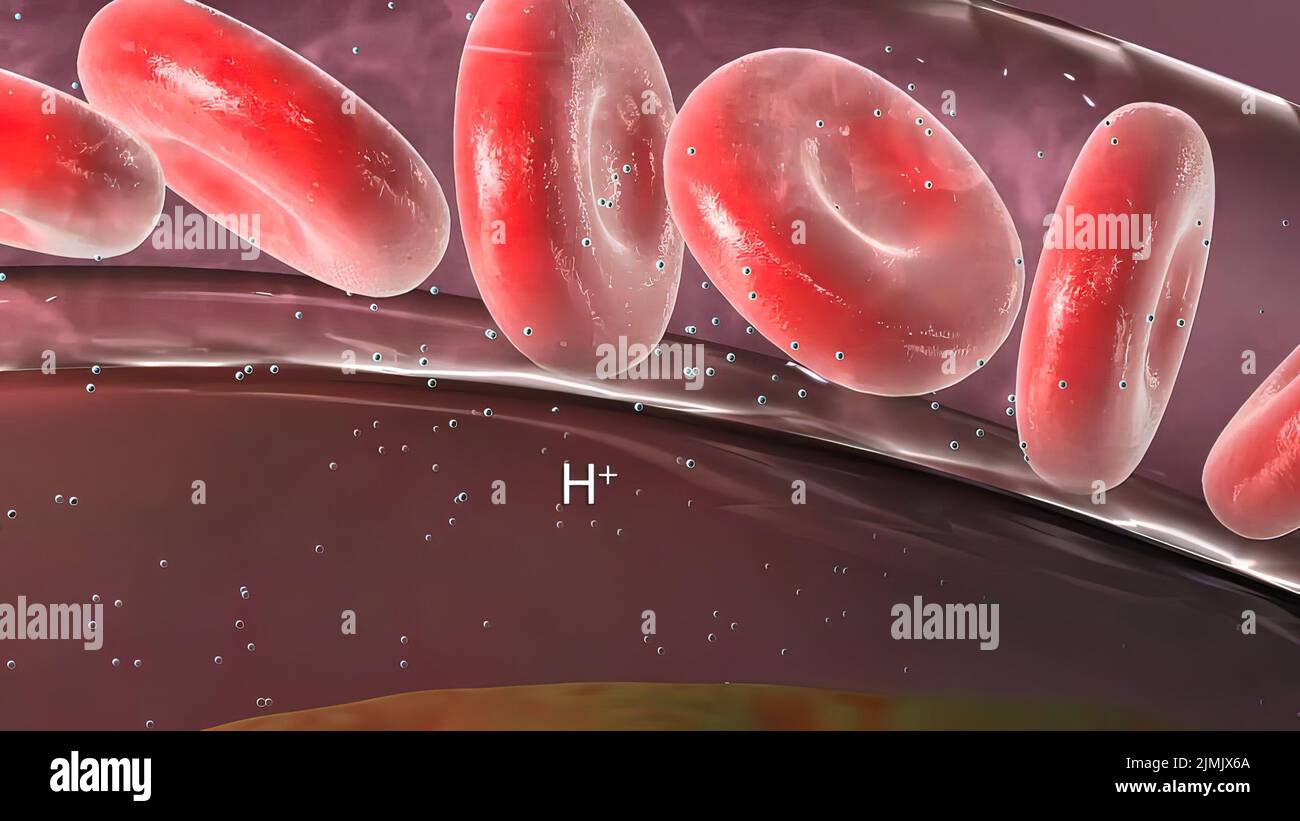Blood vein pattern hi-res stock photography and images - Alamy