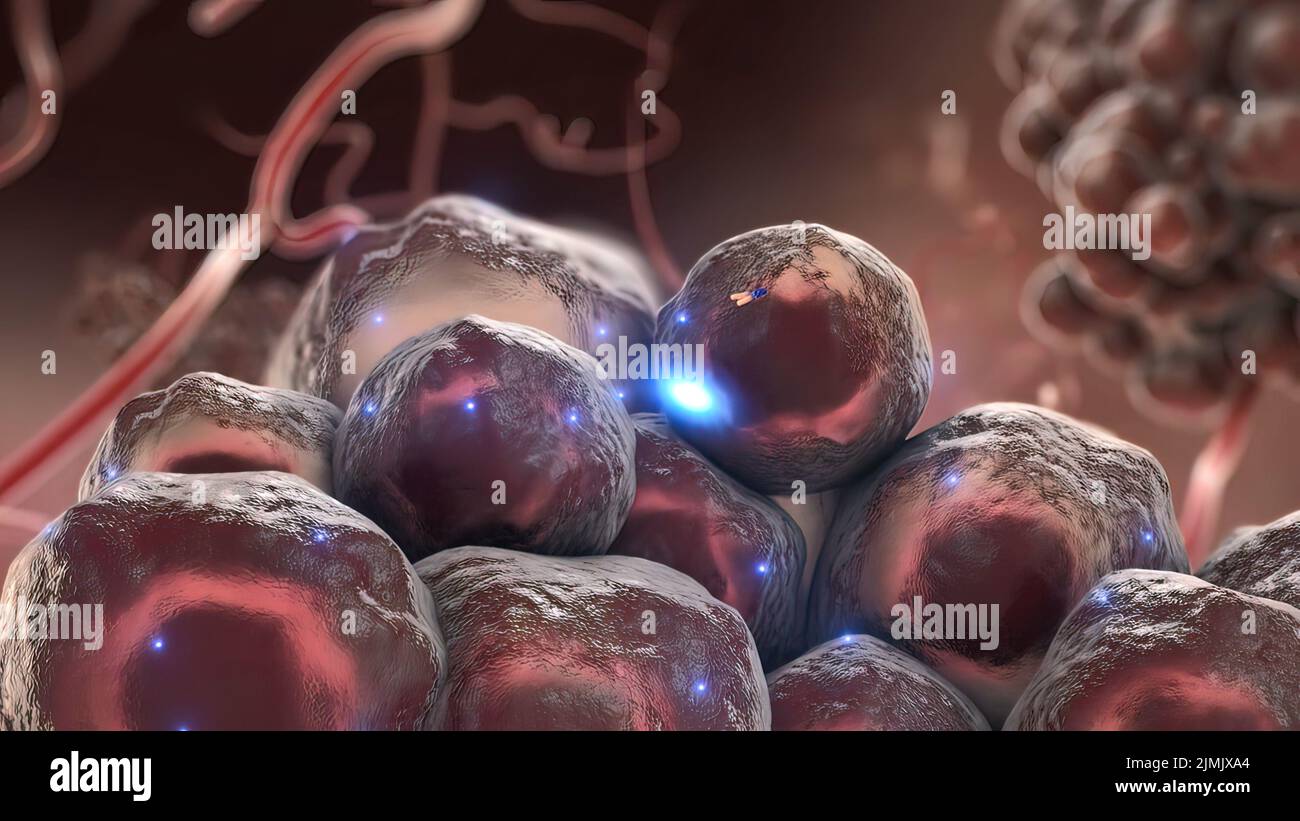 Human fat cells magnification hires stock photography and images Alamy