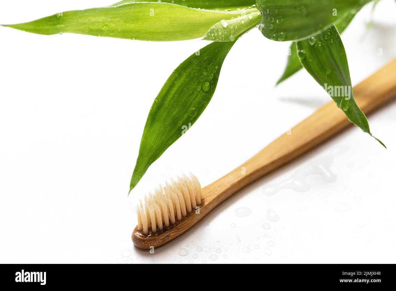 Eco friendly toothbrush and bamboo plant on white Stock Photo