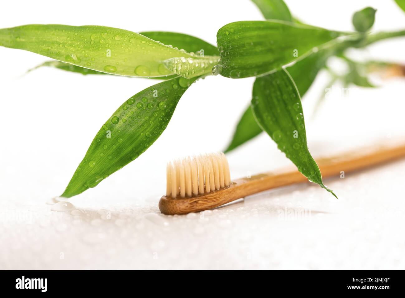 Eco friendly toothbrush and bamboo plant on white Stock Photo