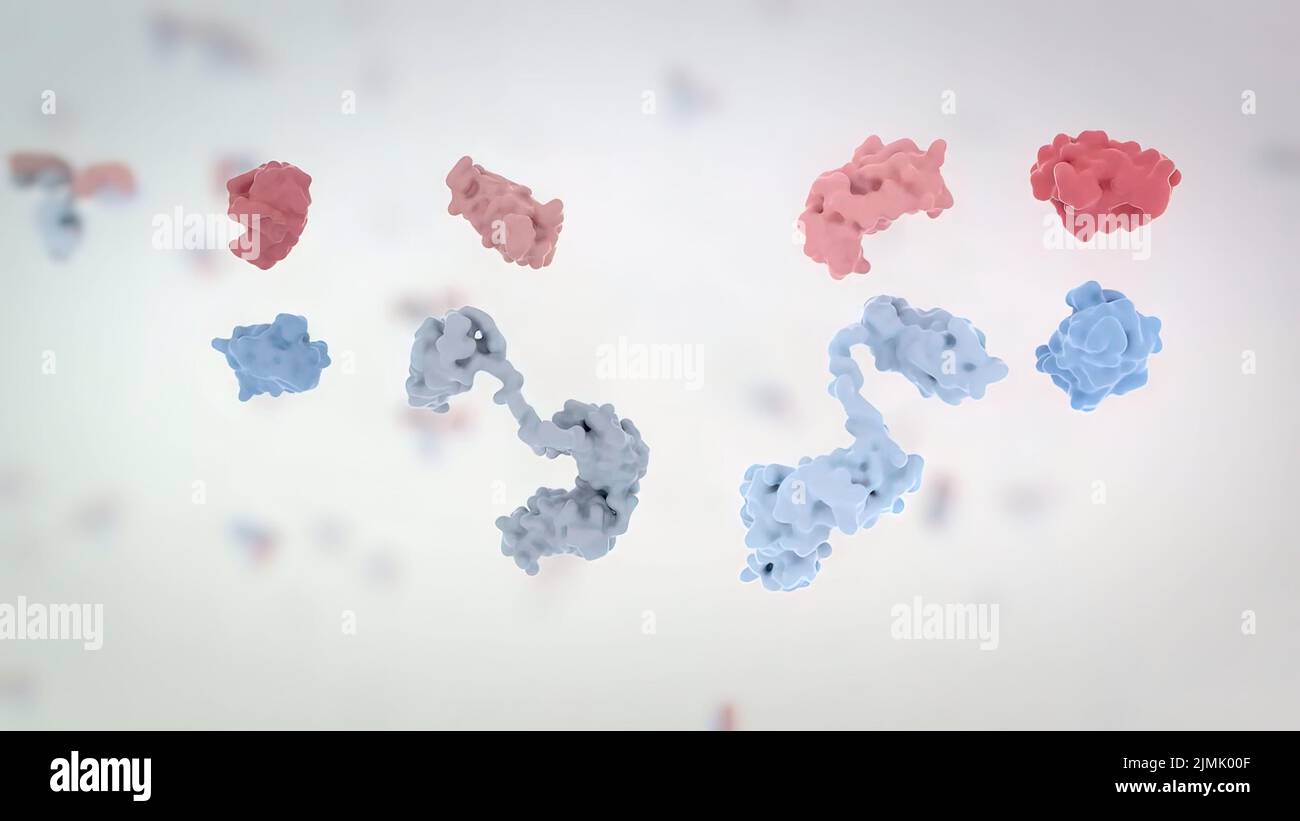 Antibody biology hi-res stock photography and images - Alamy