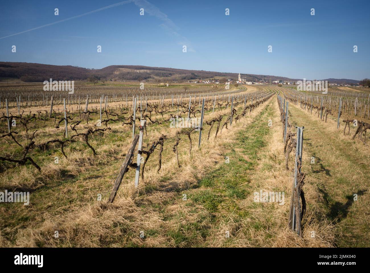Bare vineyards near KleinhÃ¶flein Burgenland Austria Stock Photo