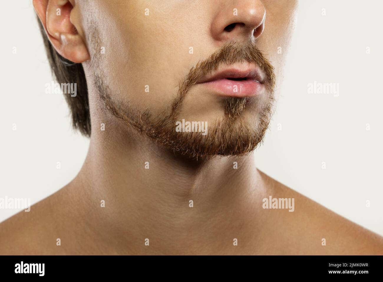 Young man with a latino style beard Stock Photo. 
