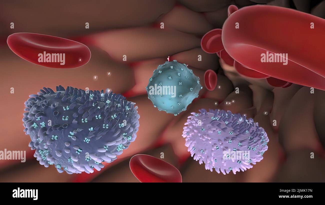 Lymphatic system of the head and neck hires stock photography and