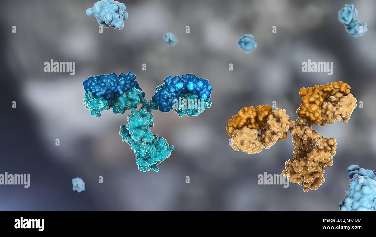 Antibody biology hi-res stock photography and images - Alamy
