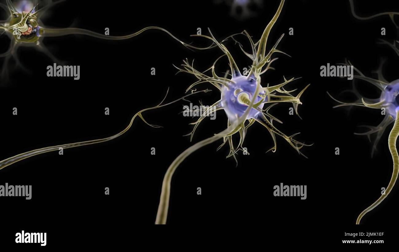 Neuro connections hi-res stock photography and images - Alamy