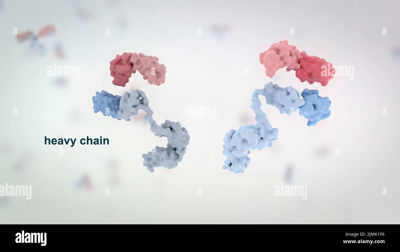 Drug molecule structure hi-res stock photography and images - Alamy