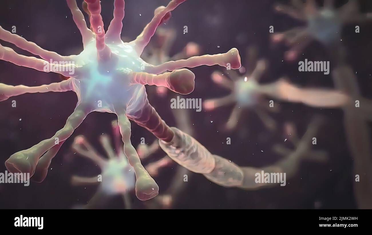 Motor neurons micrograph hi-res stock photography and images - Alamy