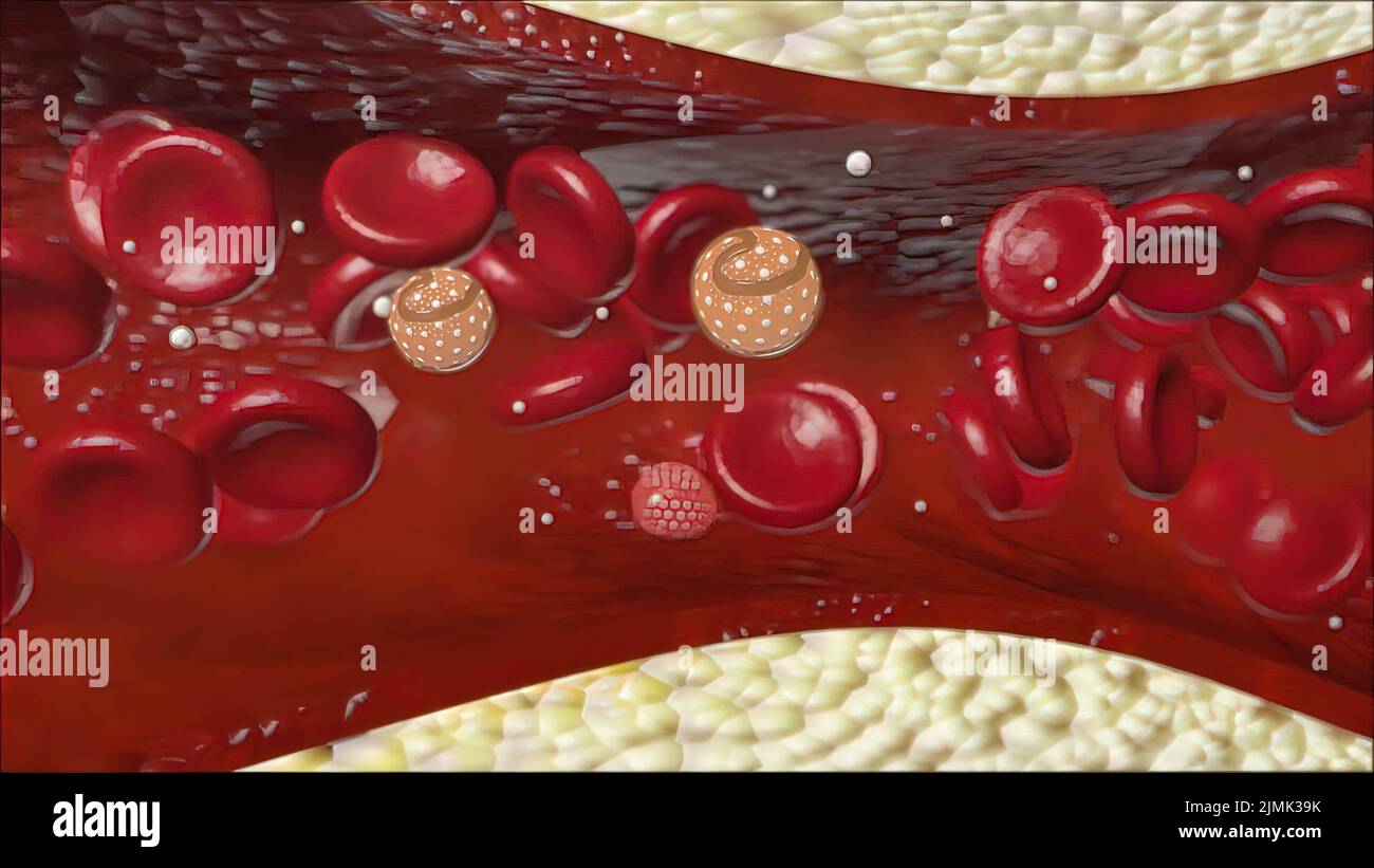 Blood vessel 3d tree hires stock photography and images Alamy