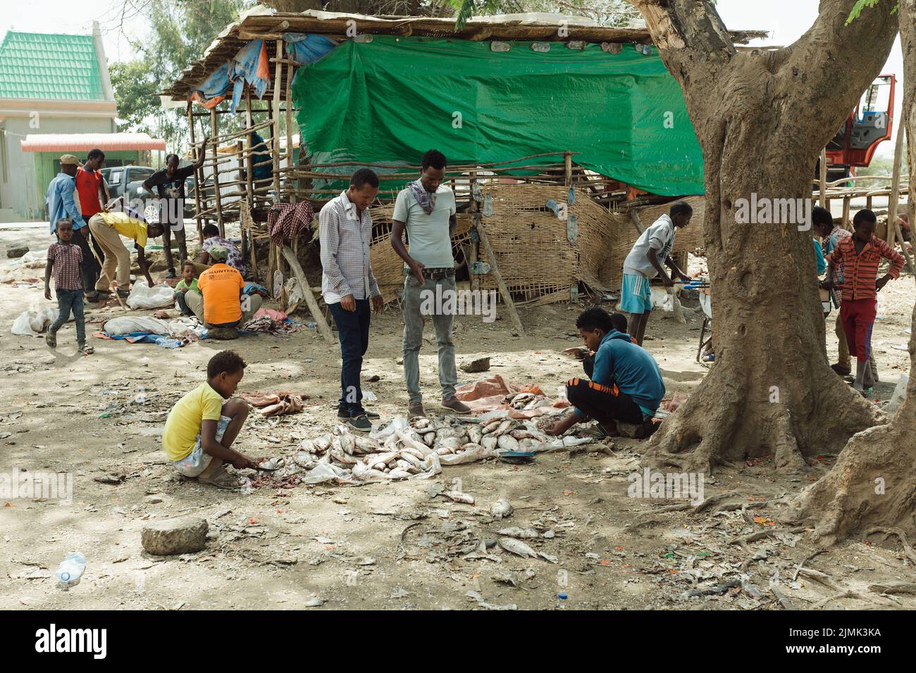 The men sort the remaining fish after closing the fish market. Ethiopia