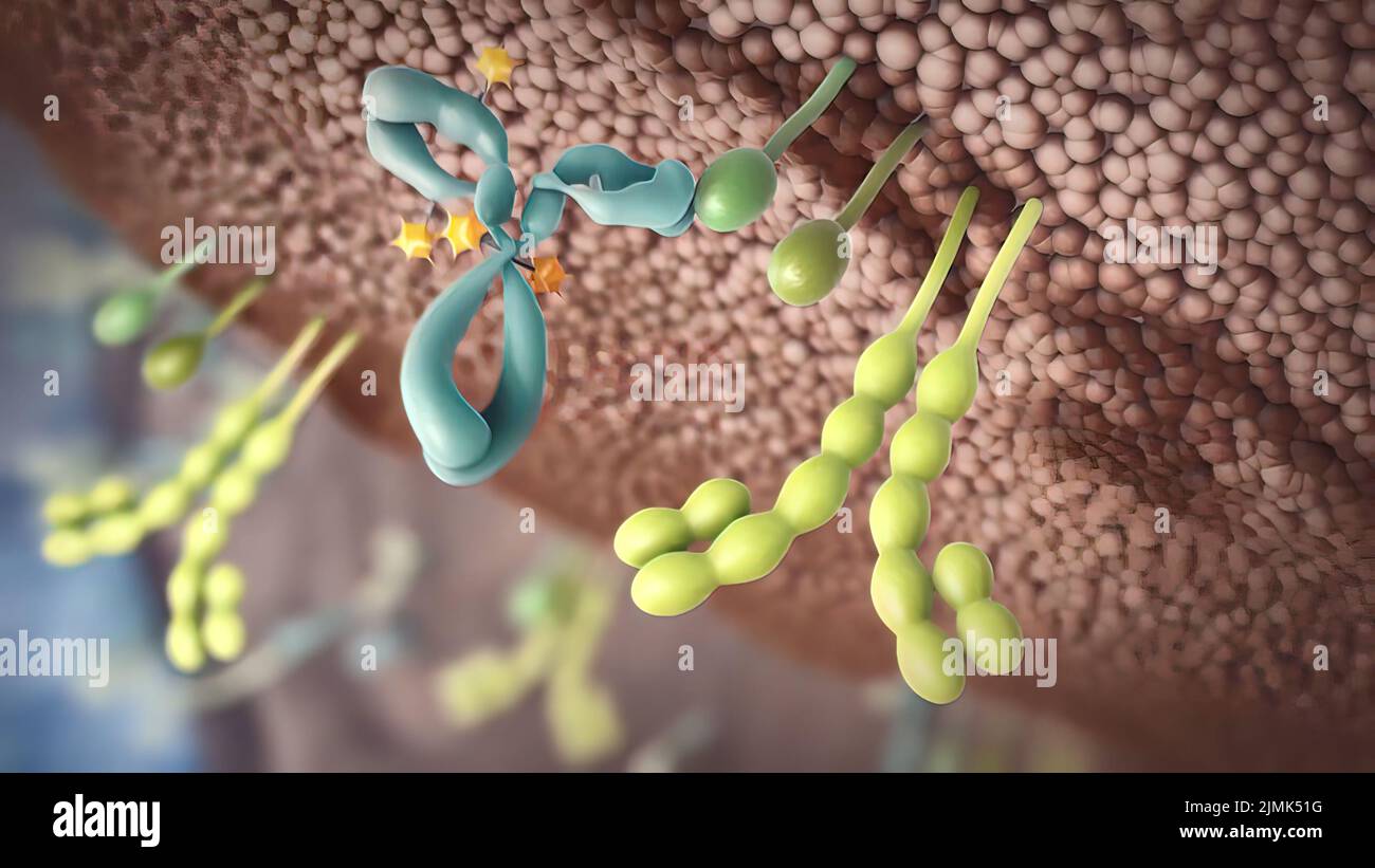 Lung cells tumour hires stock photography and images Alamy