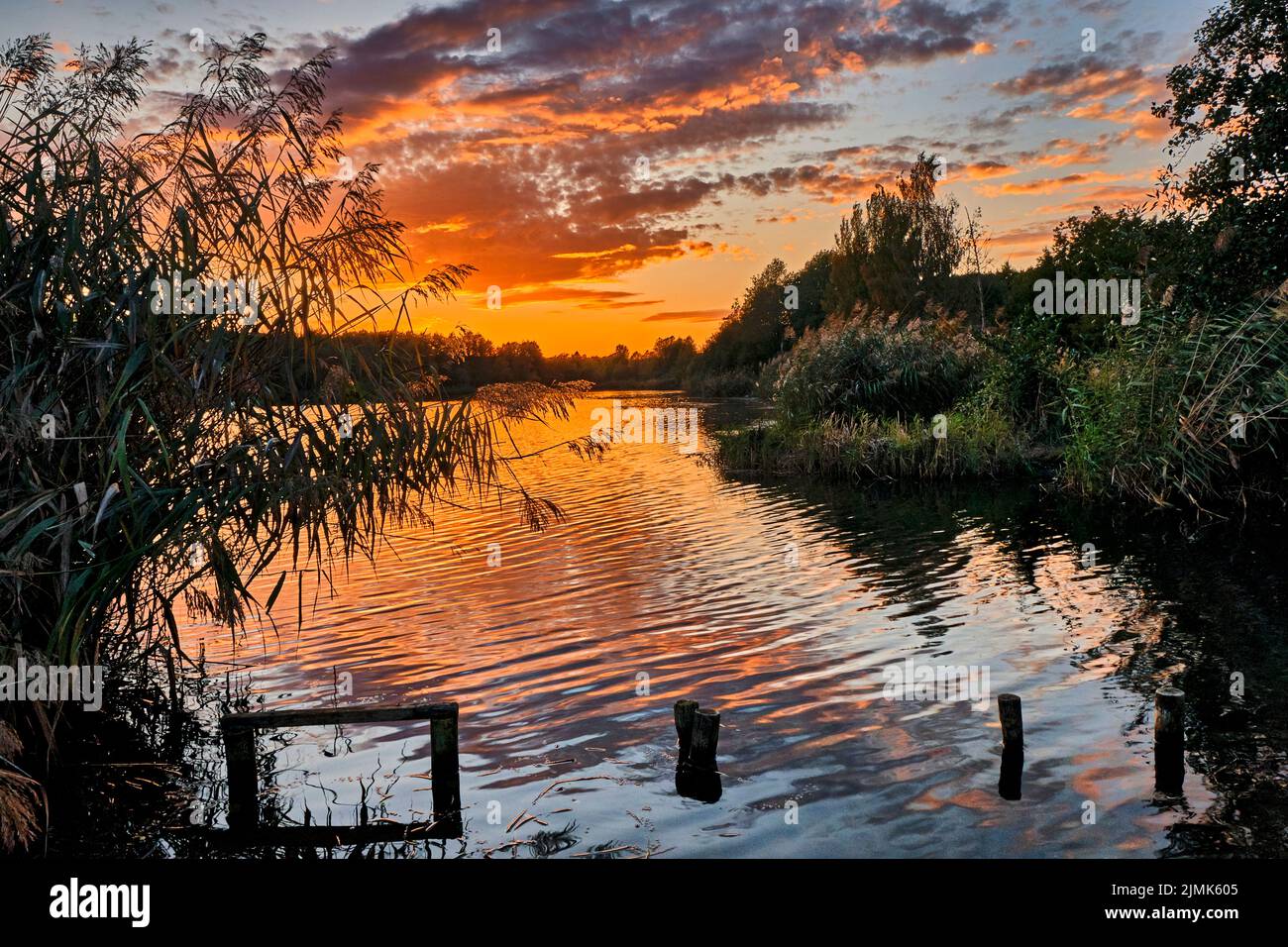 Sunset at the autumn forest lake Stock Photo - Alamy