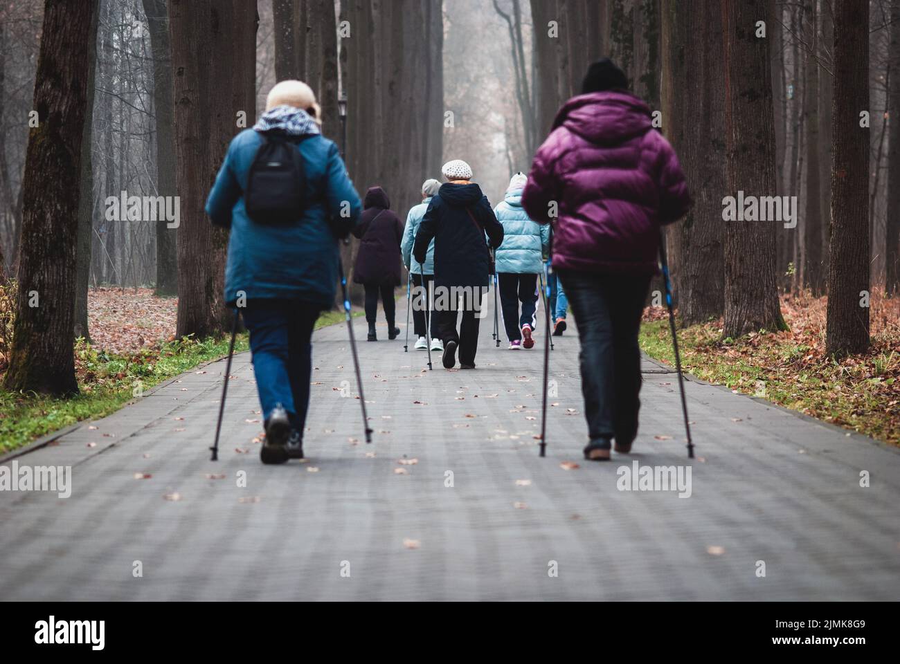 Pole walking for seniors, group of women walk for good health in the park Stock Photo