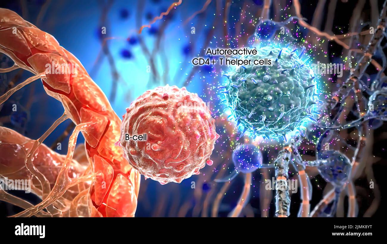 Transmembrane hi-res stock photography and images - Alamy