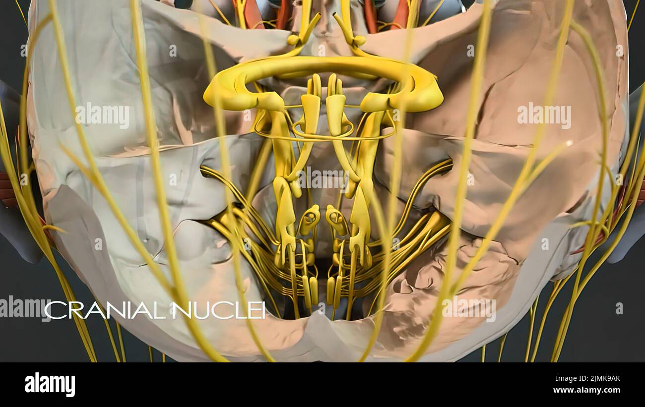 Inside the core hi-res stock photography and images - Alamy