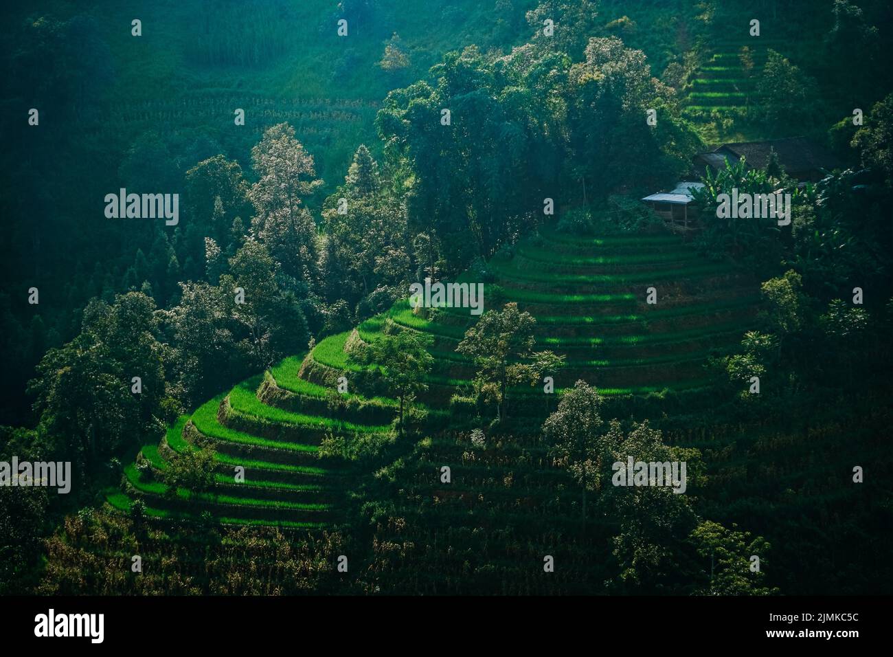 Rice terraces of Vietnam Stock Photo