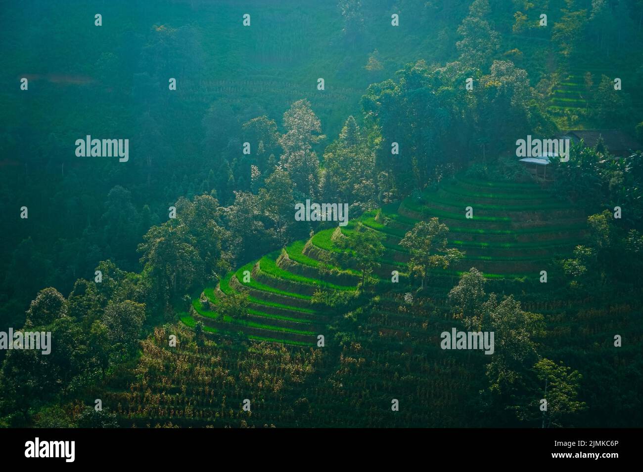 Rice terraces of Vietnam Stock Photo