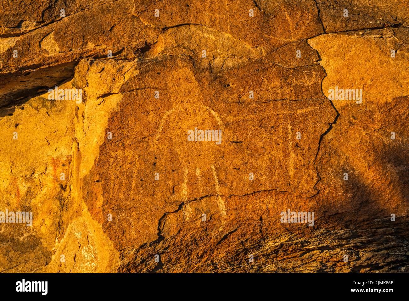 Petroglyphs at tuff outcrop, sunrise, Mt Irish Archaeological District, Western Locus, Basin and Range National Monument, Nevada, USA Stock Photo