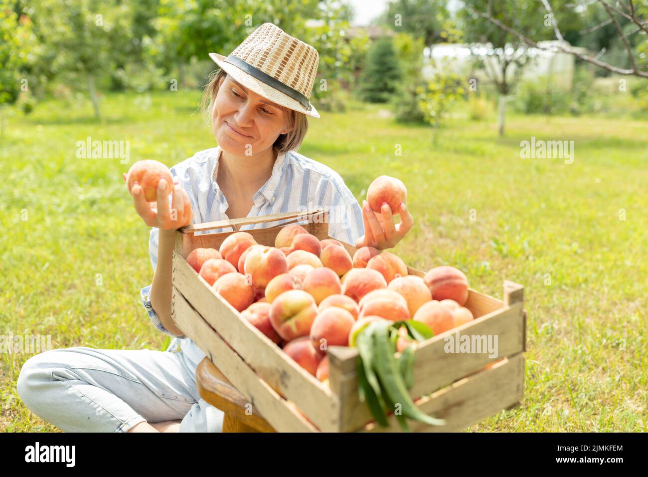 Portrait of smiling woman farmer with wooden box of freshly harvested ripe peaches Stock Photo