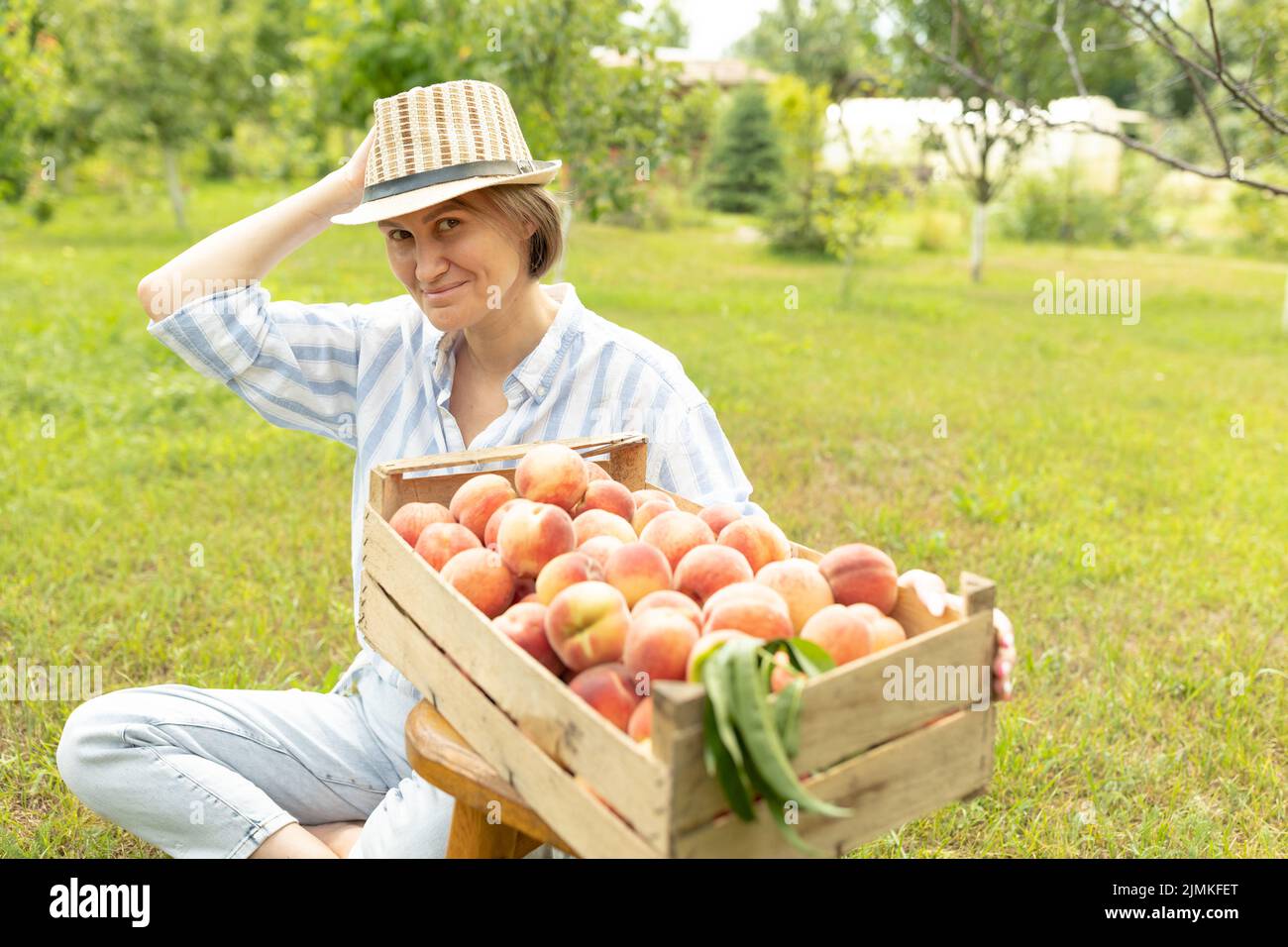 Portrait of smiling woman farmer with wooden box of freshly harvested ripe peaches Stock Photo