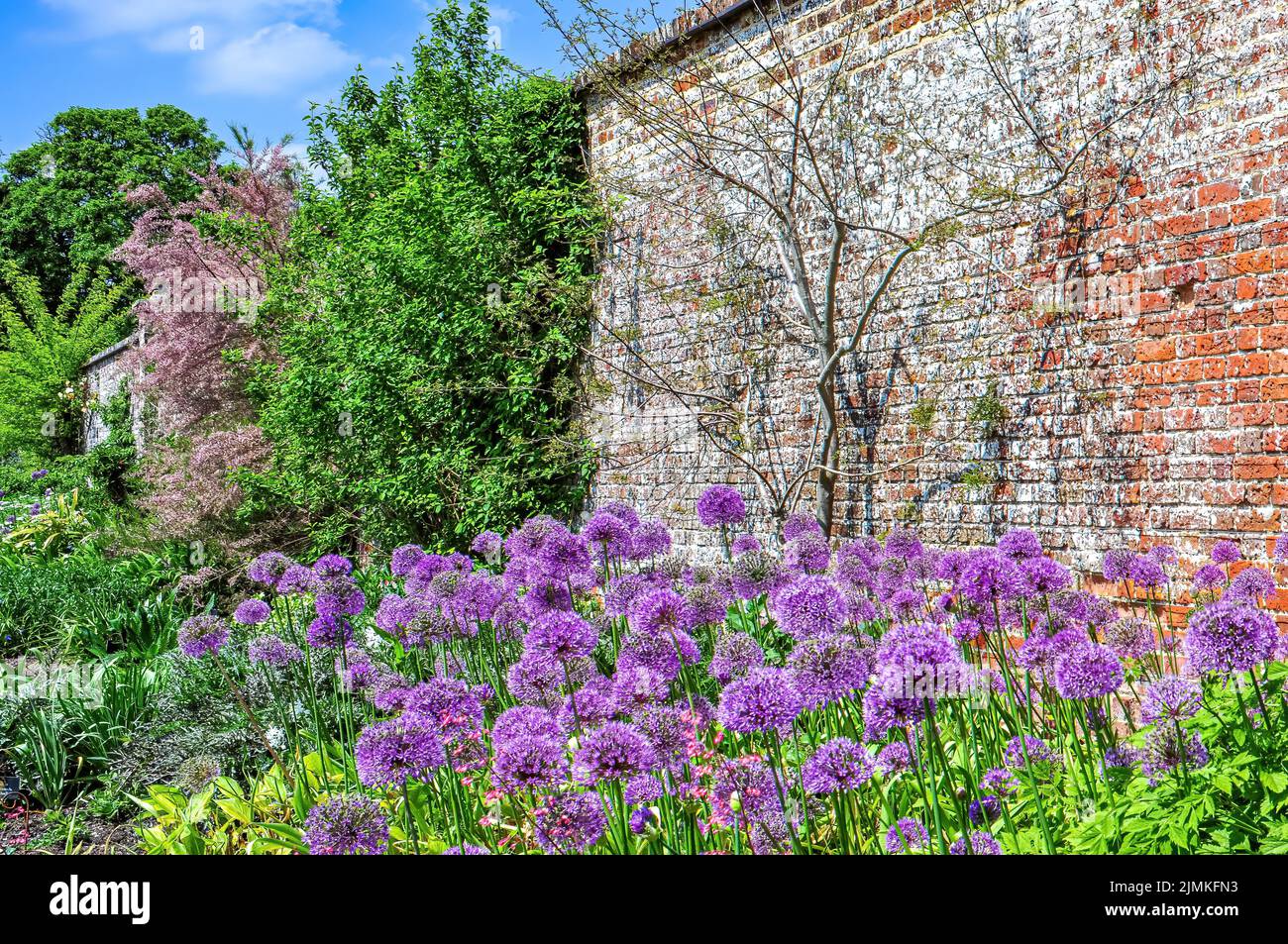 Stone wall flowers hi-res stock photography and images - Alamy