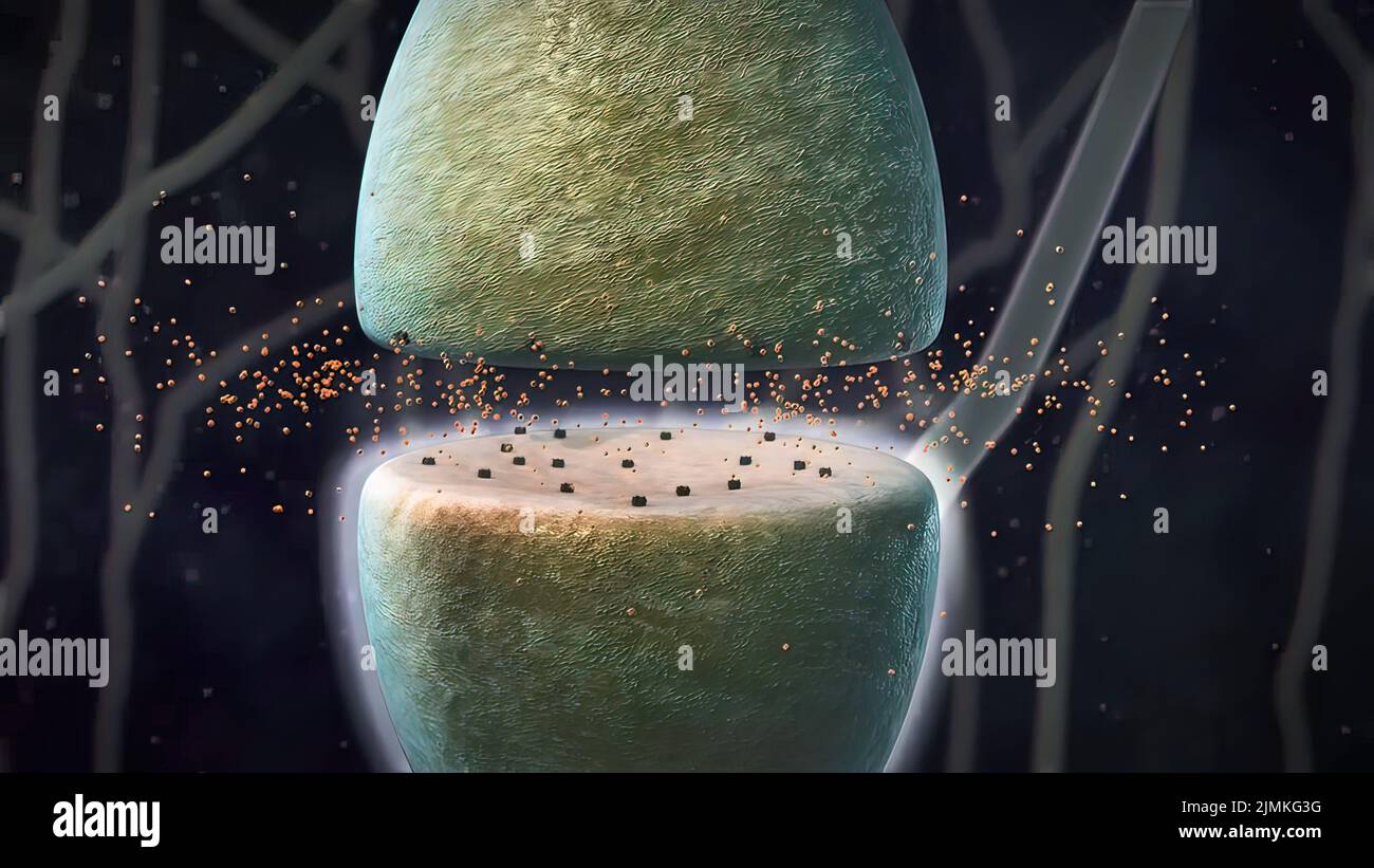 Terminal neural hi-res stock photography and images - Alamy