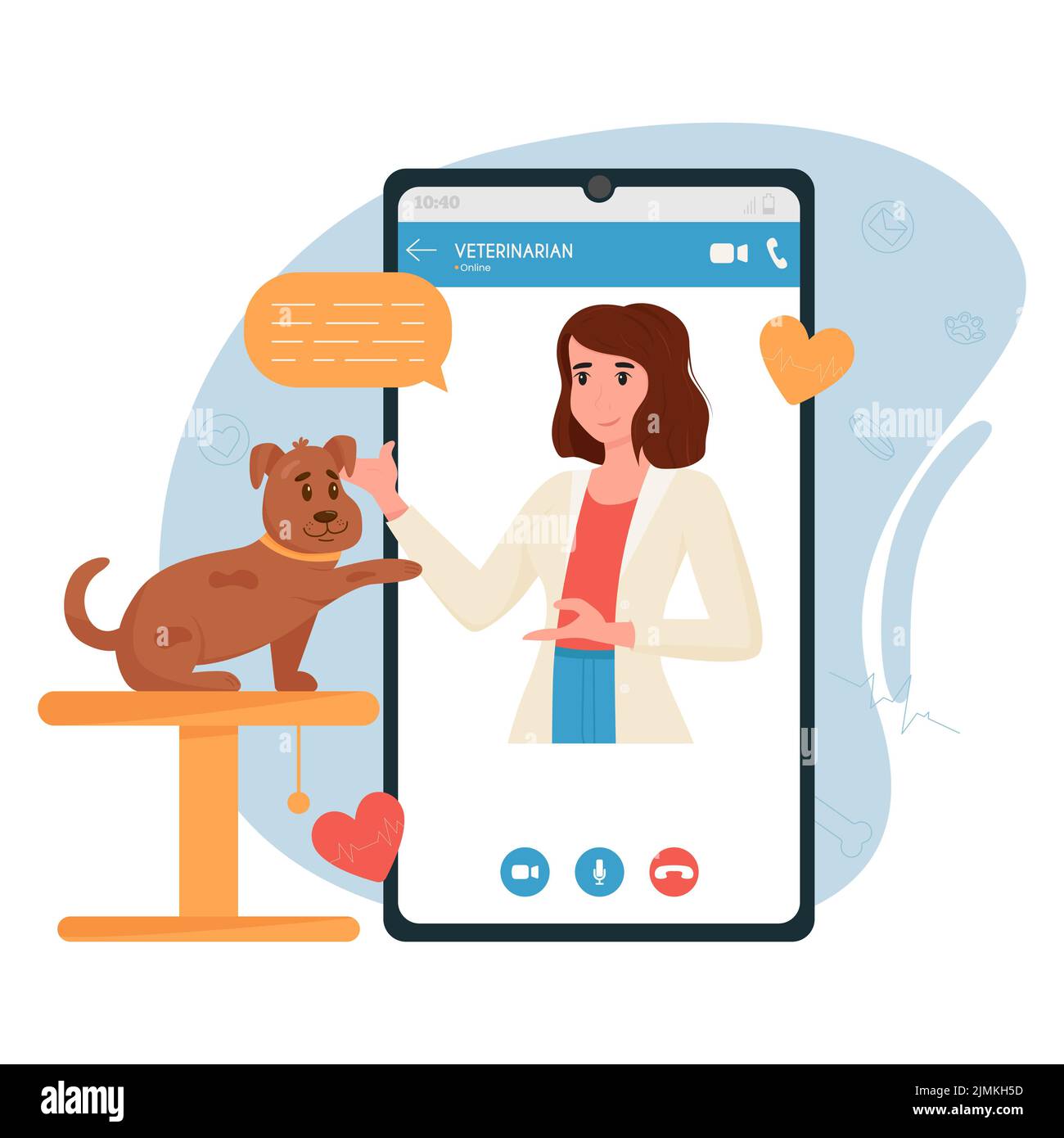 Veterinary doctor appointment. Online veterinarian consultation. Pet