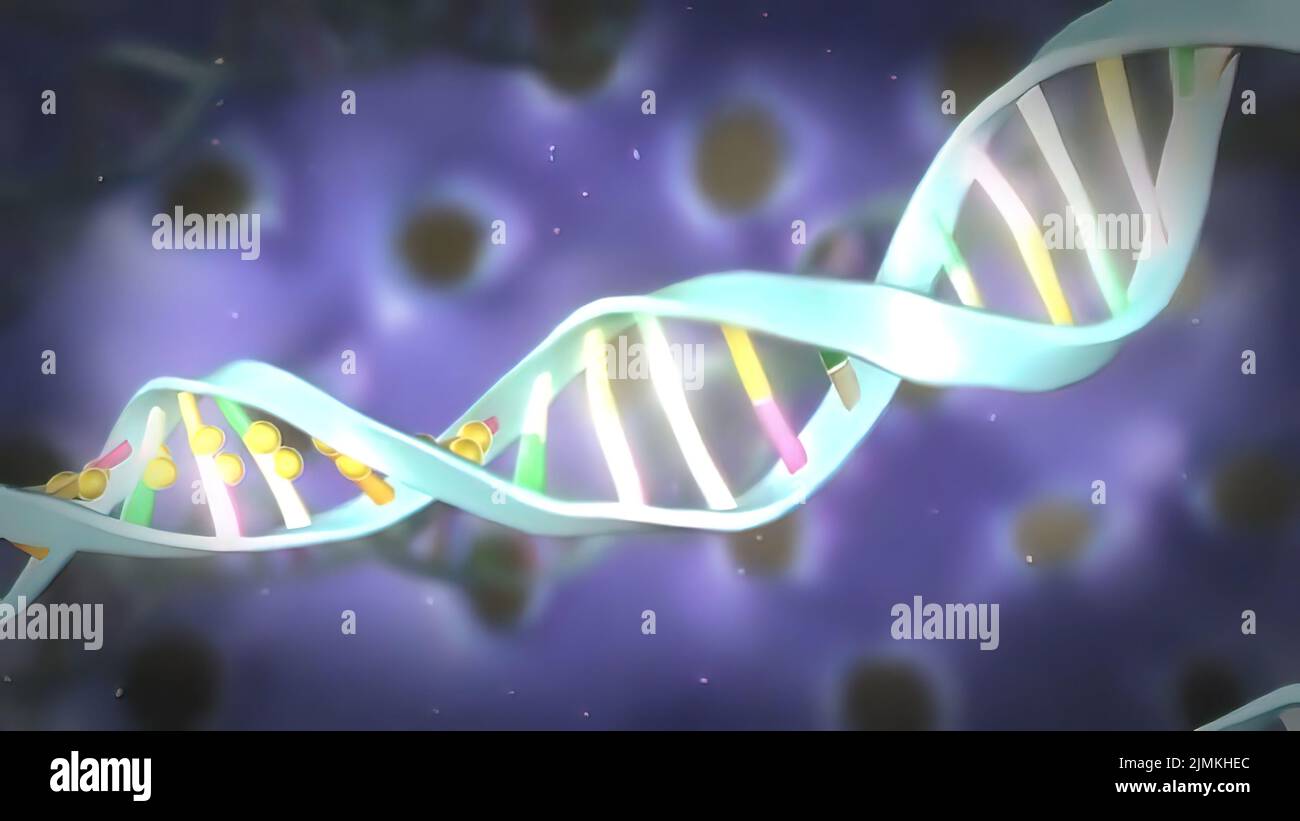 Reprogram Dna Cellular chemistry hi-res stock photography and images - Alamy