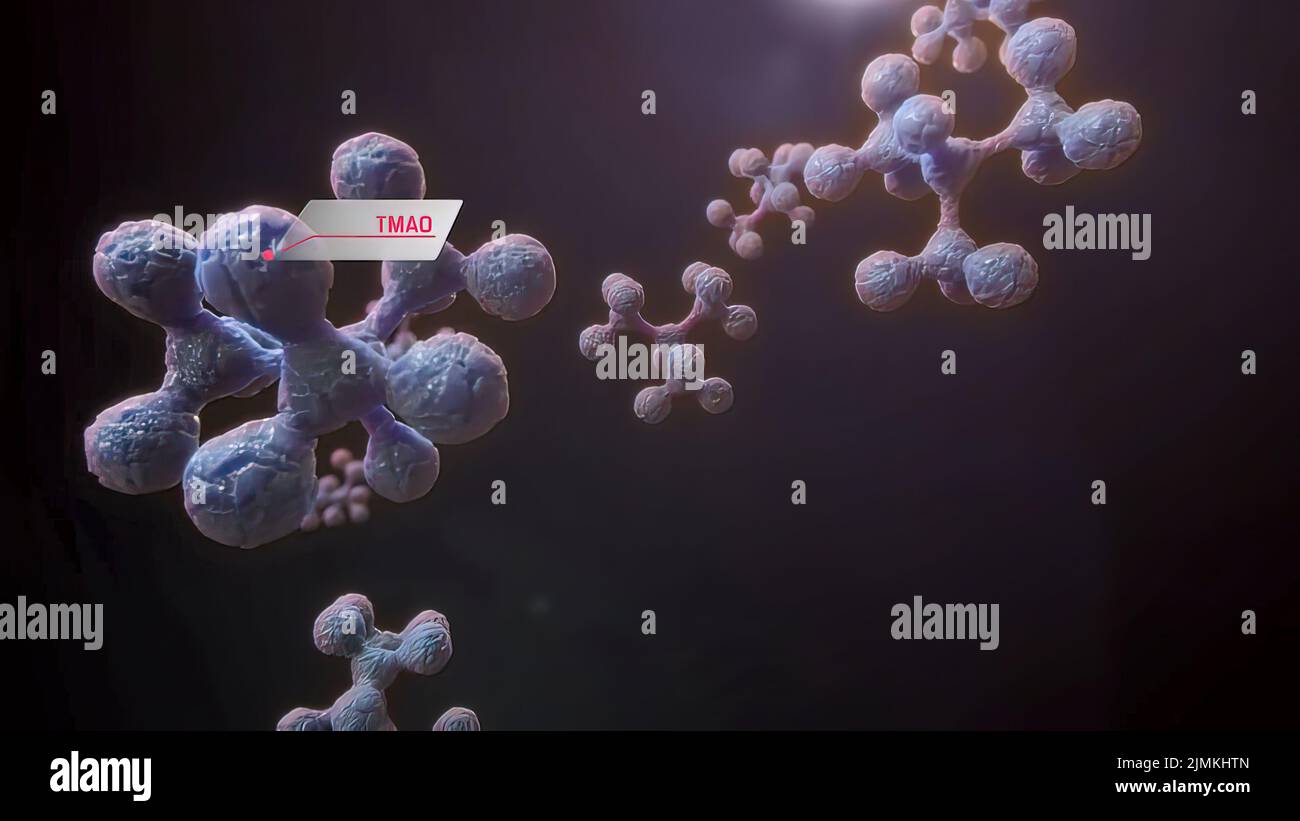 Microaerophilic bacteria hires stock photography and images Alamy