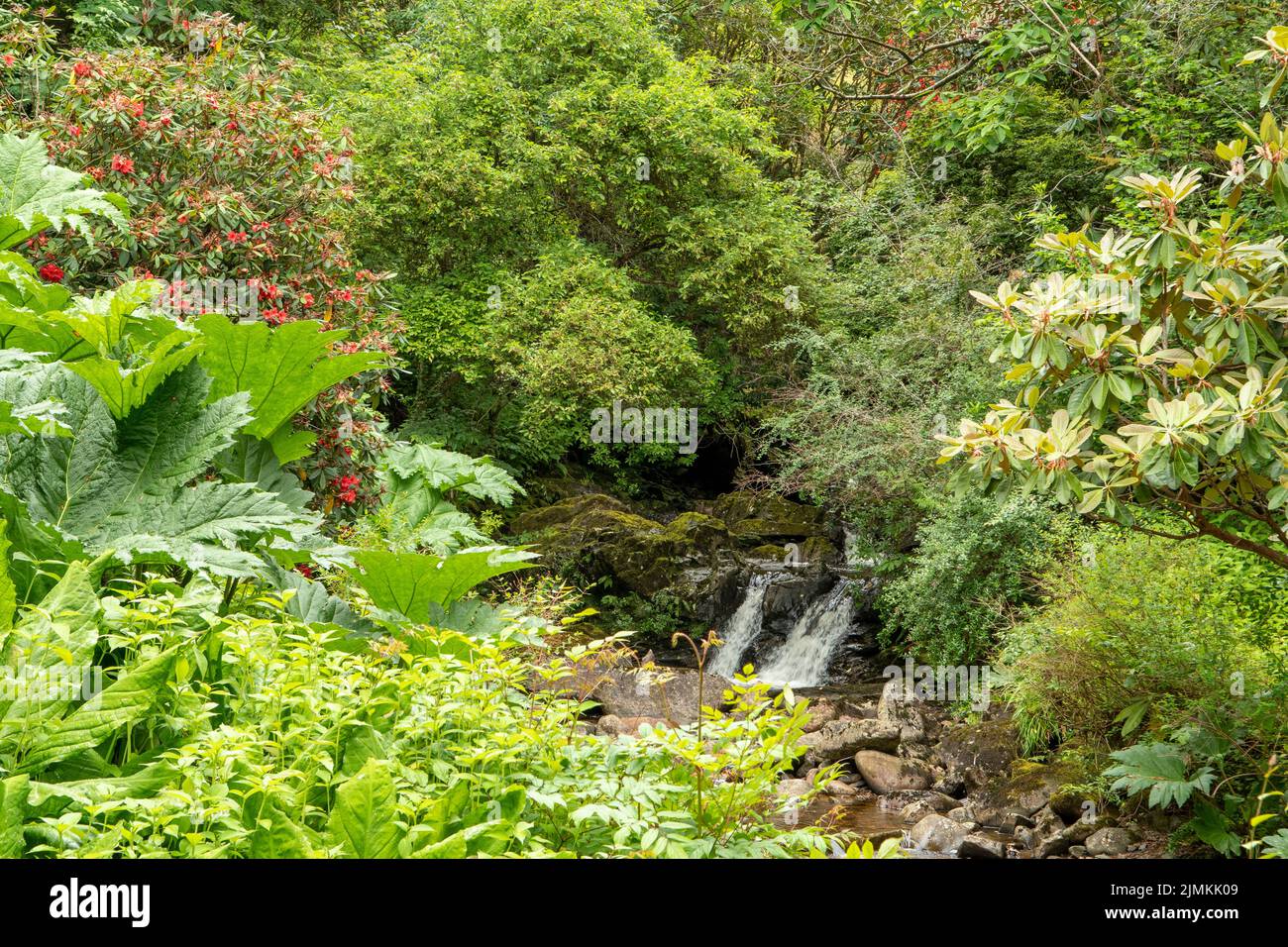 Crarae Gardens, near Inveraray, Argyll, Scotland Stock Photo