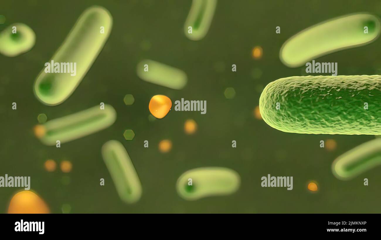 Bacterium Visual Group visualization hi-res stock photography and images - Alamy