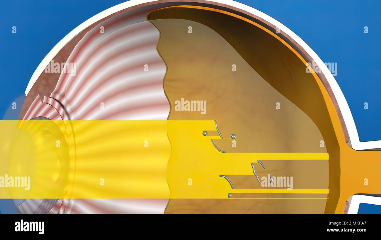 3D illustration medical animated eye anatomy, eye stain formation Stock