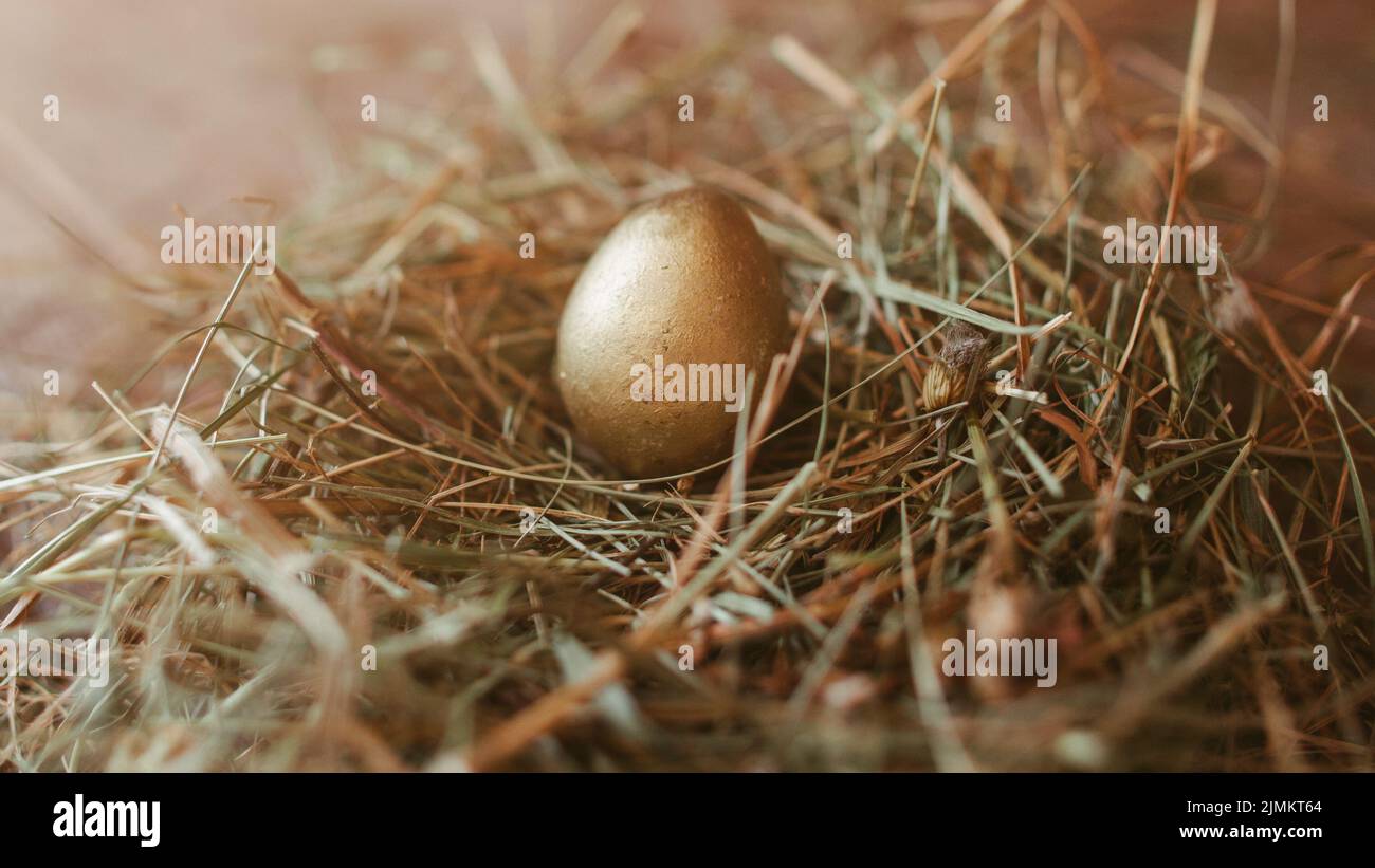 easter decor painted golden egg handmade nest Stock Photo